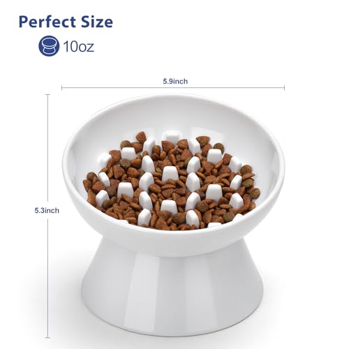 Ceramic Slow Feeder Cat Bowl, 2 Cups Tilted Elevated Cat Slow Feeder Bowl for Dry and Wet Food, Honeycomb Design for Preventing Vomiting & Bloating (White-Honeycomb) - color: White-Honeycomb