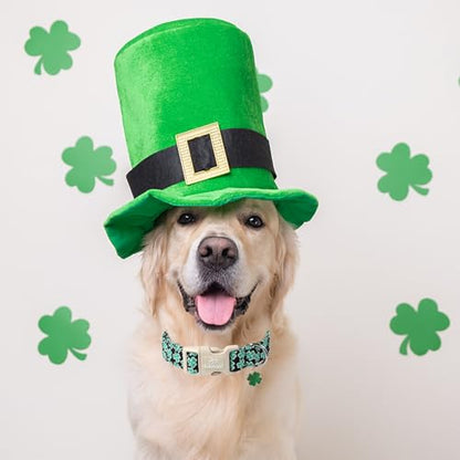 St Patricks Day Dog Collar for Small Dogs - Green Lucky Shamrock Boy Dog Collars, Irish Clover Pattern Black Male Puppy Collar with Quick Release Buckle XS - color: Clover, size: XS