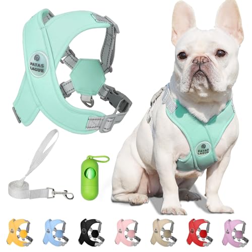 Dog Harness with Leash Set Adjustable Soft Padded Step-in Dog Vest No Choke No Pull Reflective for Small Pets with Poop Bags and Dispenser, Solid and No-chew, Green XS - color: Green, size: XS (Neck 16-19.1'' Chest 18.8-21.5'')