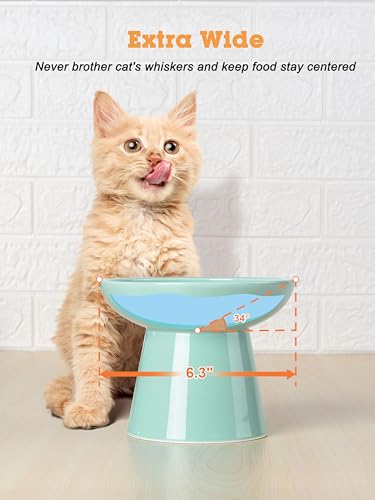 LoeJan Elevated Cat Food and Water Bowls Set, Extra Wide and Raised Ceramic Feeder, Anti-Vomit Whisker-Free Pressure Feeding Bowl for Kittens Adult Small Dogs (Blue, Food Bowl) - color: Blue, size: Single (Food Bowl)