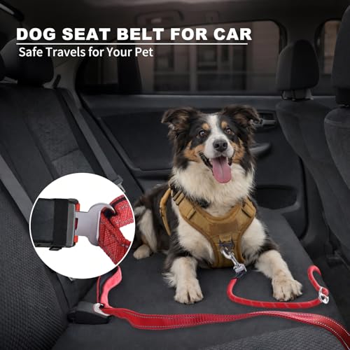 10FT Hands Free Dog Leash for Small Medium Large Dogs, Heavy Duty Reflective Dog Leash with Traffic Handle, Seat Belt Buckle & Poop Bag Holder (Red) - color: Red, size: 10FT