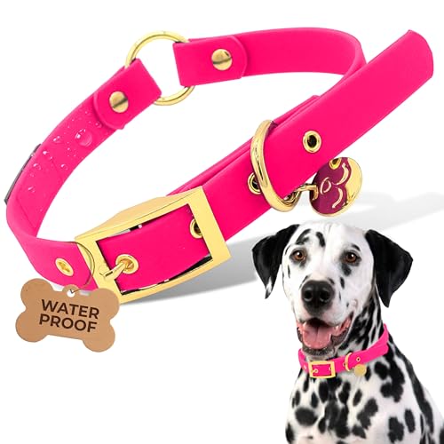 Waterproof Dog Collar for Active Dogs – Durable, Odor-Resistant, Easy to Clean Adjustable Collar for Small Medium Large Breeds – Comfortable Everyday Collar by Mila’s Paws (Bubblegum Pink, L) - color: Bubblegum Pink, size: L