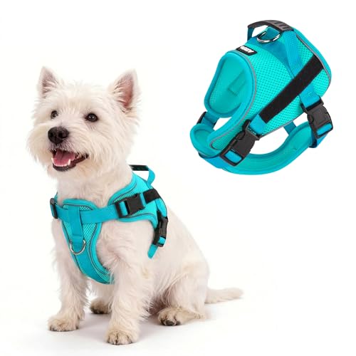 AIITLE No Pull Reflective Dog Harness with Handle - Soft Comfortable All Weather Mesh Breathable Adjustable Puppy Harness for Small Medium Dogs, Easy Control for Walking Running Camping (Green，L - color: Green, size: L