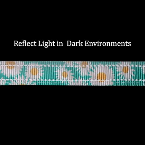 Hands Free Dog Leash, No Pull Bungee Dog Running Waist Leash, with Car Seat Belt, Reflective Stripes, Heavy Duty for Medium and Large Dogs. (Daisy Green, Large) - color: Daisy Green