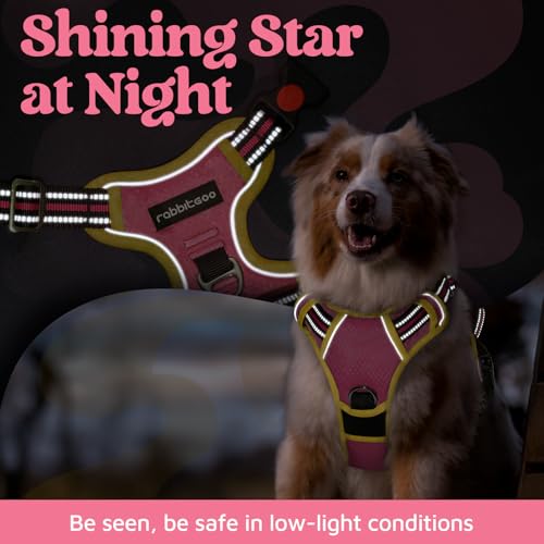 rabbitgoo Dog Harness Small Sized, No Pull Dog Vest with 3 Buckles, Adjustable Soft Padded Pet Harness with Easy Control Handle and Reflective Strips, Pink & Yellow, S - color: Pink & Yellow, size: Small