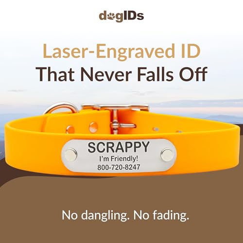 dogIDs Personalized Dog Collar – Custom Waterproof Soft-Grip Biothane with Laser-Engraved Nameplate, Durable & Odor-Resistant, USA Made | Creamsicle, 1 in x 16 in (Fits Necks Size 14-18 in) - color: Creamsicle, size: 1 in x 16 in (Fits Necks Size 14-18 in
