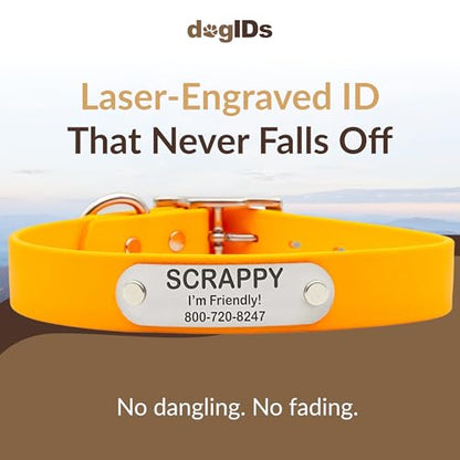 dogIDs Personalized Dog Collar – Custom Waterproof Soft-Grip Biothane with Laser-Engraved Nameplate, Durable & Odor-Resistant, USA Made | Creamsicle, 1 in x 16 in (Fits Necks Size 14-18 in) - color: Creamsicle, size: 1 in x 16 in (Fits Necks Size 14-18 in
