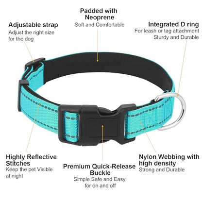 Dog Collars Adjustable for Puppy and Small Dogs,Heavy Duty Waterproof Dog Collar with Quick Release Buckle,Girl Boy Female Male Reflective Nylon Dog Collar with Soft Neoprene Padded,XS,Turquoise - color: Turquoise, size: X-Small
