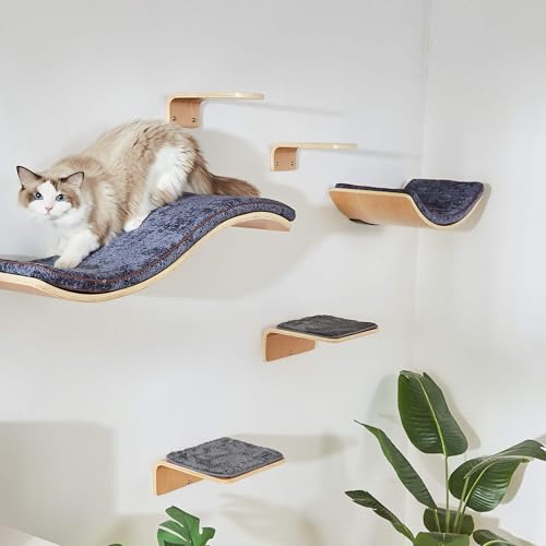 LIORCE Cat Wall Shelf with Two Steps - Curved Cat Shelves and Perches for Wall (Large Size) - Wall Mounted Cats Furniture for Sleeping, Playing, Climbing, and Lounging