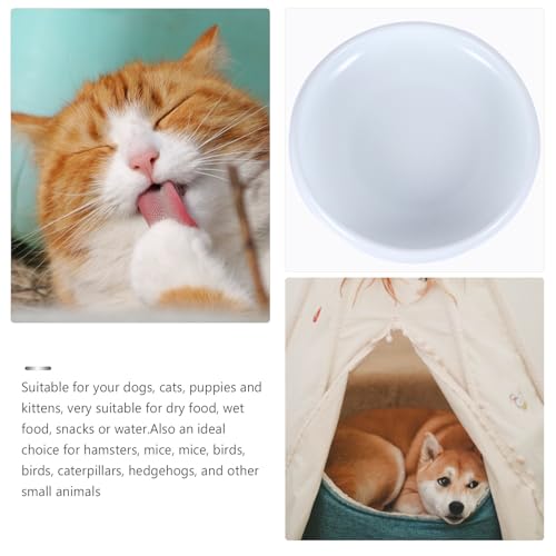PRETYZOOM Ceramic Cat Water Bowl Pet Feeding Bowl with Anti-Spill Design White Closed Rim Pet Feeder for Indoor Cats for Food and Water