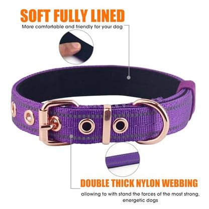 Neoprene Padded Dog Collar, Nylon Collar for Small to Large Dogs, Heavy Duty with Metal Buckle, Reflective(Large, Purple) - color: Purple, size: Large (Pack of 1)