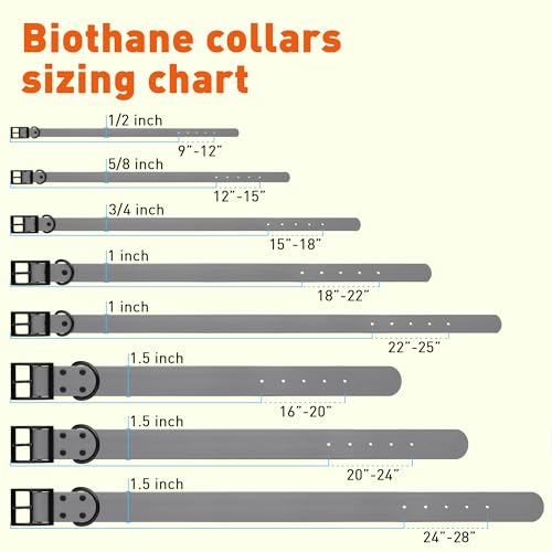 Dogline Biothane Waterproof Dog Collar Strong Coated Nylon Webbing with Black Hardware Odor- Proof for Easy Care Easy to Clean High Performance Fits Small Medium or Large Dogs, Battleship Gray