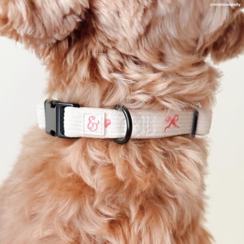 Lucy & Co. Ever So Sweet Dog Collar, Adjustable Durable Dog Collar with Cute Print, Small - color: Ever So Sweet, size: Small