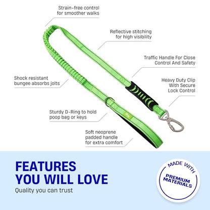 Dog Friendly Co. Bungee Dog Leash | Strain Free & Shock Resistant for Control | Neoprene Padded Handle, Heavy-Duty Carabiner Clip, and D-Ring | Neon Green, Size Regular - color: Neon Green, size: Regular