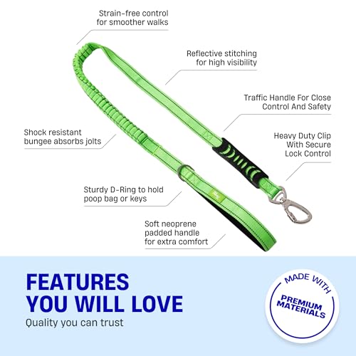 Dog Friendly Co. Bungee Dog Leash | Strain Free & Shock Resistant for Control | Neoprene Padded Handle, Heavy-Duty Carabiner Clip, and D-Ring | Neon Green, Size Small - color: Neon Green, size: Small