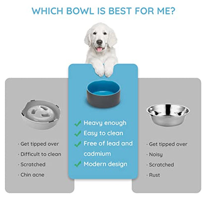 SPUNKYJUNKY 13.5OZ Ceramic Dog and Cat Bowl, Modern Cute Weighted Food Water Bowl for Replacement Blue-Grey (1 Pack) - color: Blue-grey, size: 1.7 CUPS