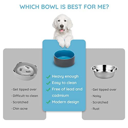 SPUNKYJUNKY 13.5OZ Ceramic Dog and Cat Bowl, Modern Cute Weighted Food Water Bowl for Replacement Blue-Grey (2 Pack) - color: Blue-grey, size: 1.7 CUPS × 2