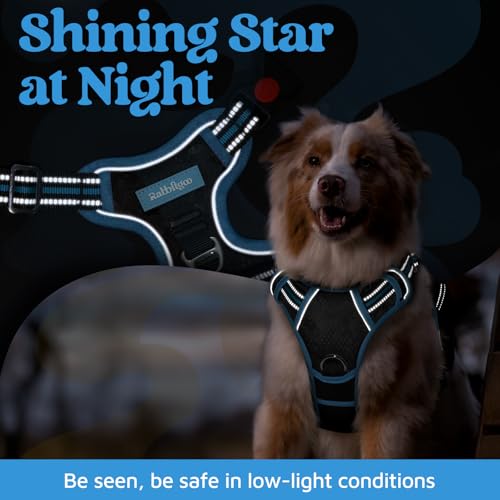 rabbitgoo Dog Harness Medium Sized, No Pull Dog Vest with 3 Buckles, Adjustable Soft Padded Pet Harness with Easy Control Handle and Reflective Strips, Black & Sky Blue, M - color: Black & Sky Blue, size: Medium