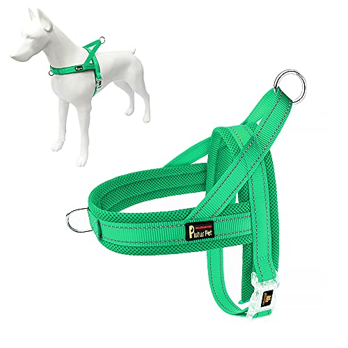 Plutus Pet No Pull Dog Harness with Breathable Mesh Padded, Adjustable Reflective Escape Proof Dog Harness, Quick Fit Dog Vest Harness for Small Medium Large Dogs(XS, Green) - color: Green, size: XS: chest 13.8"-17.3"