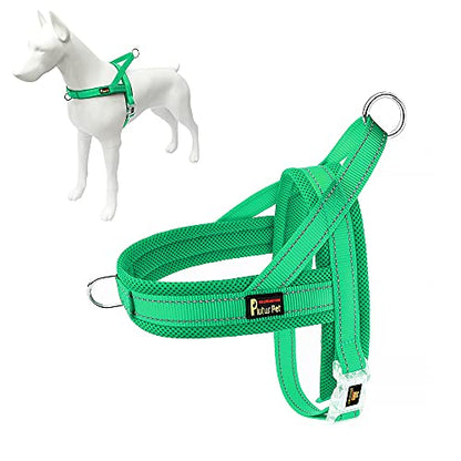 Plutus Pet No Pull Dog Harness with Breathable Mesh Padded, Adjustable Reflective Escape Proof Dog Harness, Quick Fit Dog Vest Harness for Small Medium Large Dogs(XS, Green) - color: Green, size: XS: chest 13.8"-17.3"