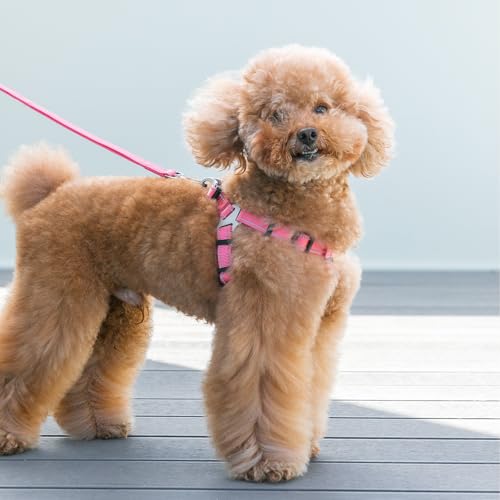 EXCELLENT ELITE SPANKER No Pull Dog Harness Adjustable Nylon Step-in Easy Pet Vest Chest Strap with Reflective and Leash Ring for Small Medium Large Breed Dogs Training Walking(Blue-L) - color: Blue, size: L