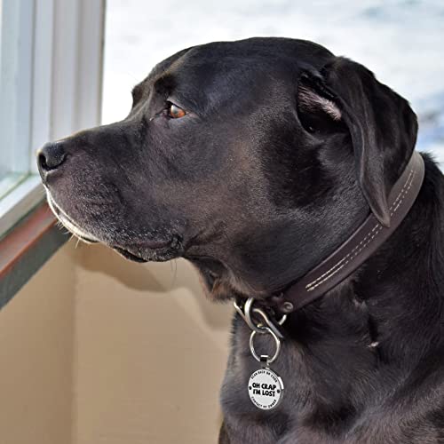 QR Code Pet ID | Personalized Dog & Cat Collar Tag | Online Profile with Instant Scanned Location Alert Email - style: OH C0ap I'm Lost
