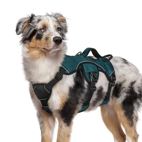 rabbitgoo Escape Proof Dog Harness Medium, Soft Padded Full Body Pet Harness, Reflective Adjustable No Pull Vest with Lift Handle and Leash Clip for Walking Hiking Training, Dark Green, M - color: Dark Green, size: Medium (Pack of 1)