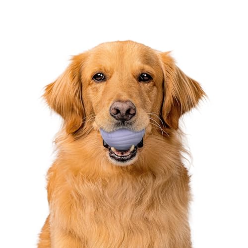 Playology Dog Toys | Dual Layer Ball Durable Chew Toy for Tough Chewers | Lamb Scented Jumbo Dog Toy | Chew Toys for Large Dogs - size: Jumbo, style: Lamb