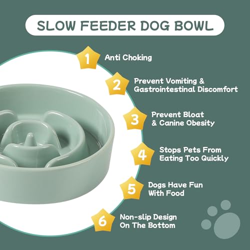 Havniva 6.1” Raised Slow Feeder Dog Bowls, 0.9 Cups Ceramic Dog Bowl Slow Feeding for Small Breed, Elevated Puzzle Dog Food Bowl with Wooden Stand Non-Slip Anti-Gulping & Anti-Choking - color: 1 x Light Green+Stand-A, size: 6.1inch-New