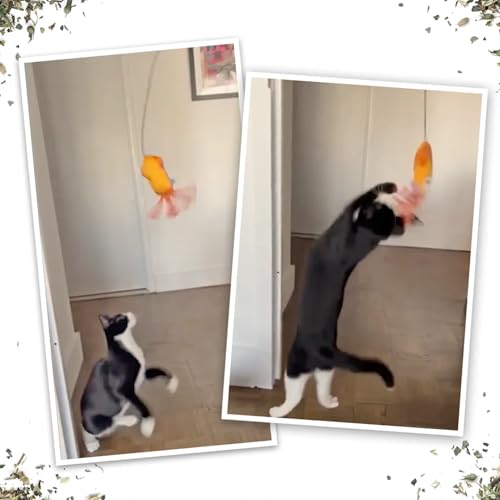Meowijuana Purrfect Pairing Jump 'n' Jamb Squid Door Hanging Cat Toy and Get Tangled Octopus | Refillable Interactive Catnip Toy | Includes Potent Catnip Grown in North America - color: Squid & Octopus Toy