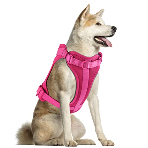 No Pull Lightweight Dog Harness: Adjustable Breathable Pet Vest Harness with Soft & Comfortable Cushion for Small Medium Large Dogs (L, Peacock Pink) - color: Rose Violet, size: L:Neck=17"-22"/Chest=25"-36.5"