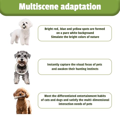 SYMHOBBY Indestructible Dog Toys Balls for Small Dogs 1.97inch Durable Bouncy Floating Interactive Toys with Pull Ring and Bone 3Pcs