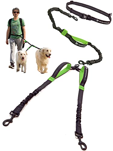 Exquisite Hands Free Leash for Two Large Dogs. Premium Quality & Versatile Waist Leash for Dog Walking No Tangle. You Will Absolutely Love This Amazing 2 Dog Gear (Black & Green) - color: Black & Green