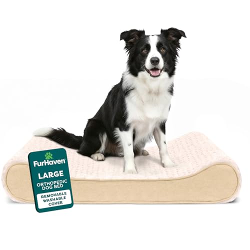 FurHaven Orthopedic Dog Bed for Large/Medium Dogs, Luxe Lounger Contour Mattress with Medical-Grade Solid Orthopedic Foam for Joint Support, Removable Washable Cover, Large, Plush Suede, Cream