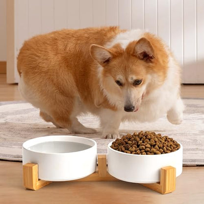 Mowtanco White Ceramic Dog & Cat Bowl Set – 13.5 OZ with Wooden Stand, Non-Slip, Elevated Design for Small Dogs & Cats – 2 Bowls (Food & Water, Ceramic Pet Bowls, Modern Dog Bowls) - color: White × 2