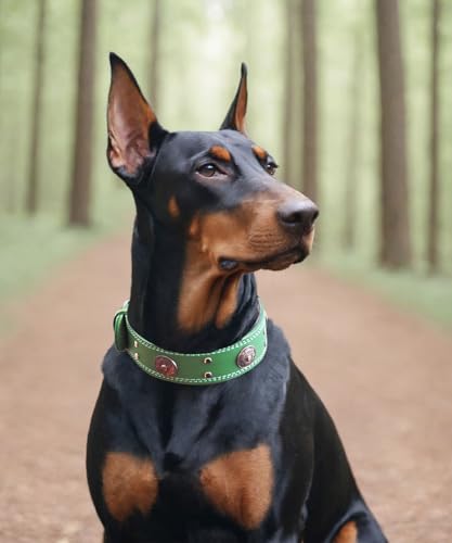 Leather Dog Collar, 2 inches Wide Heavy Duty Genuine Leather Collars, Handmade, Soft, and Luxury, Eye-catching Best Choice for Large and Medium Breed Dogs, Green 21-25 in - color: Green, size: 21-25 in