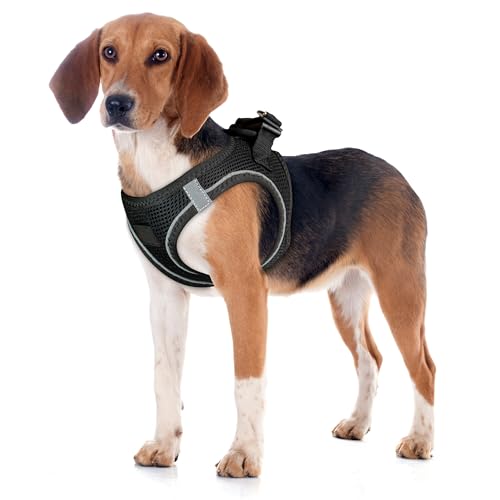 Filbert Dog Harness Large Sized Dog, Step-in Reflective Harness Large Sized Dogs, Mesh Vest, Adjustable, Soft, High Reflectivity, Breathable Fabric, Heavy Duty, Black - color: Black, size: XL (Chest: 20.75 - 23")