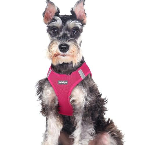 rabbitgoo Small Dog Harness, Step-in Soft Mesh Puppy Vest with Safety Buckle, Breathable Reflective Pet Harness for Large Dogs, Rose Red XXL - color: Rose Red, size: Xxl(chest:21.6"-23.7")