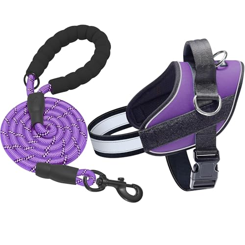 Haapaw Essential Dog Harness, No Pull Pet Vest with 3 Leash Clips, No Choke, Reflective, Adjustable and Padded, for Easy Walking and Training for Small Dogs(S, Purple) - color: Purple, size: S