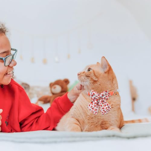 SCENEREAL Fall Cat Collar with Bell & Stylish Bowtie, Turkey Maple Leaf Pattern Breakaway Cat Collars Accessories for Boy Girl Small Cats, Holiday Thanksgiving Kitten Costumes for Female Male Pets - color: Stylish Bow (Thanksgiving/Fall)