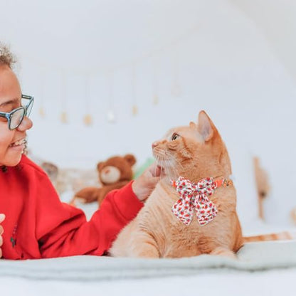 SCENEREAL Fall Cat Collar with Bell & Stylish Bowtie, Turkey Maple Leaf Pattern Breakaway Cat Collars Accessories for Boy Girl Small Cats, Holiday Thanksgiving Kitten Costumes for Female Male Pets - color: Stylish Bow (Thanksgiving/Fall)