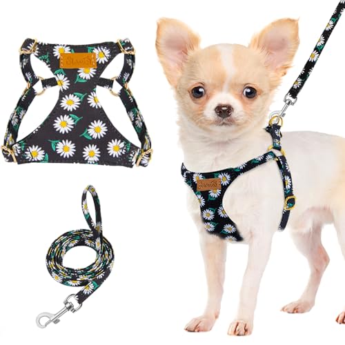 Lukovee Puppy Harness and Leash Set, No Pull Lightweight Soft Suede Adjustable Pet Harness Vest with Snap Buckle for Puppy Small and Medium Size Dog (Black-XXS) - color: ·Black Daisy, size: XX-Small ( 2.2-6lb )