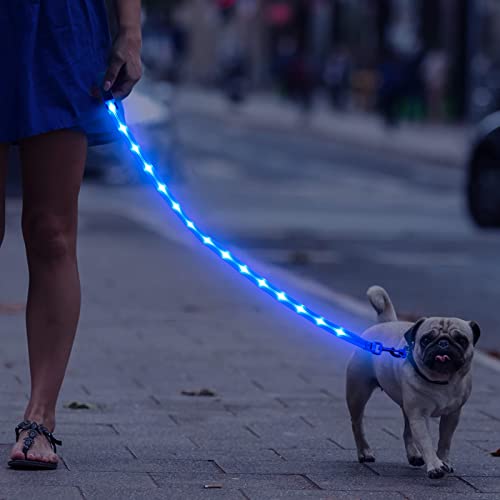Weesiber Light Up Dog Leash, 4ft LED Dog Leash Rechargeable Safety Glow in The Dark Puppy Lead Safety Pet Lights for Night Walking (Blue) - color: Blue
