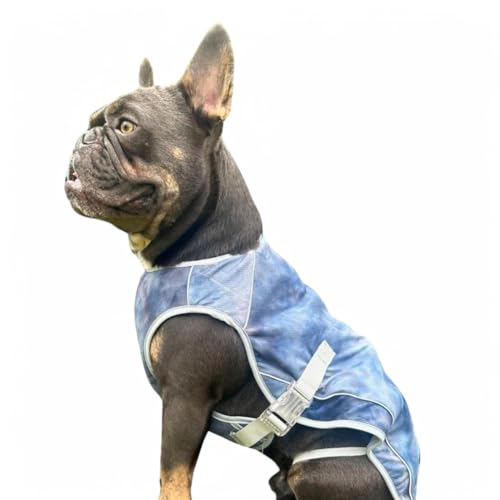 Spark Paws Dog Cooling Vest - SPF 50 UV Sun Protection - Summer Heat Relief Gear for Dogs, Lightweight, Evaporative Cooling - Dog Anxiety Relief Vest During Hot Days - Ice Blue, XL - color: Ice Blue, size: XL: 25-40lbs