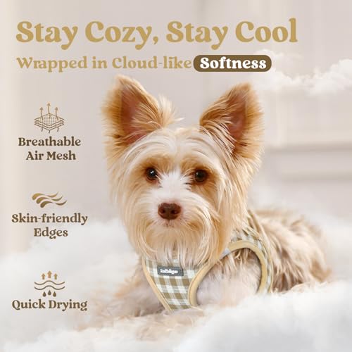 rabbitgoo Small Dog Harness, Step-in Soft Mesh Puppy Vest with Safety Buckle, Breathable Reflective Pet Harness for Small Medium Dogs, Beige Plaid L - color: Beige Plaid, size: L(chest:18.2"-20.5")