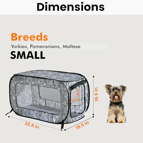 Beatrice Home Fashions Portable, Collapsible, Pop Up Kennel Travel Cat and Dog Crate, 32.5" L x 19.5" W x 19.5" H, Tail Waggers - color: Tail Waggers, size: 32.5"L x 19.5"W x 19.5"H