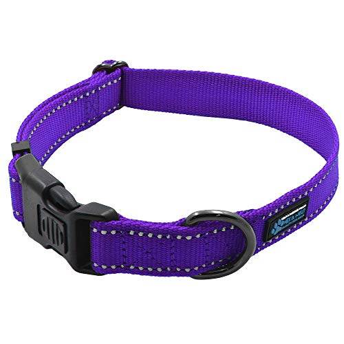 Max and Neo NEO Nylon Buckle Reflective Dog Collar - We Donate a Collar to a Dog Rescue for Every Collar Sold (Small, Purple) - color: Purple, size: Small