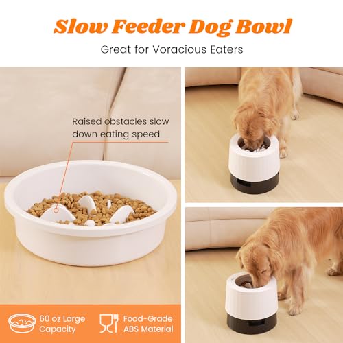 Pawque Elevated 60oz Slow Feeder Dog Bowls Large Breed, Single Raised Food Bowl for Medium Large Sized Dogs, Stable Sturdy Base and Snap on Adjustable Height Stand, Anti-Slip Mess Proof Dog Bowls