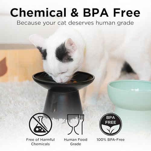 Necoichi 2pcs Elevated Cat Water Bowls with Measurement – BPA-Free Plastic Raised Bowls to Reduce Whisker & Neck Fatigue – Dishwasher Safe – Non-Slip, Anti-Vomiting (Bloomy) - color: Green and Pink (Bloomy)