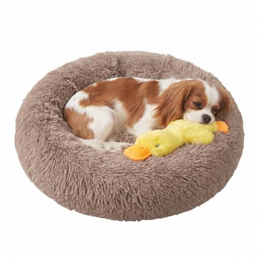 Whiskers & Friends Small Dog Bed Washable, Fluffy Orthopedic Dog Bed Small, Puppy Calming Beds, Large Cat Beds for Indoor Cats - Perfect for Pets Under 25 Pounds - Camel - color: Camel, size: 23.00" x 23.00" x 7.00"